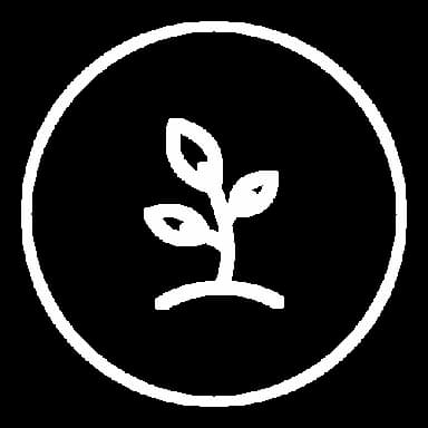 Fundamentos (III) icon