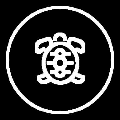 Découverte junior icon