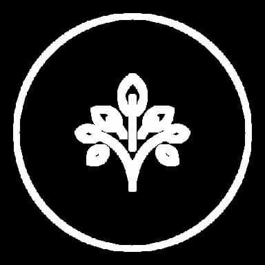 Vivre en pleine conscience (long) icon
