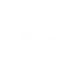 La bellezza di invecchiare icon