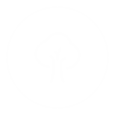 Routine ontwikkelen icon