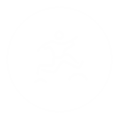 L'audace icon