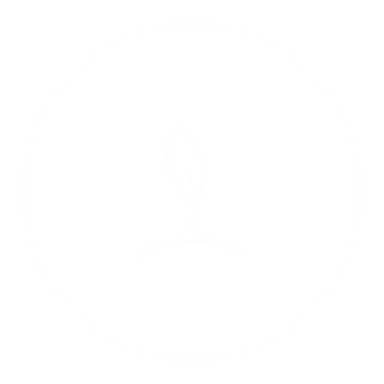 Basics 1 icon