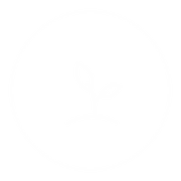 Basiques 2 icon
