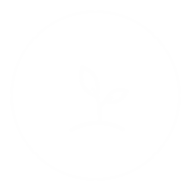 Basics 2 icon