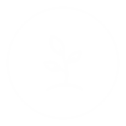 Fundamentos (III) icon
