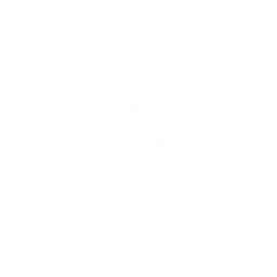 Basiques 4 icon