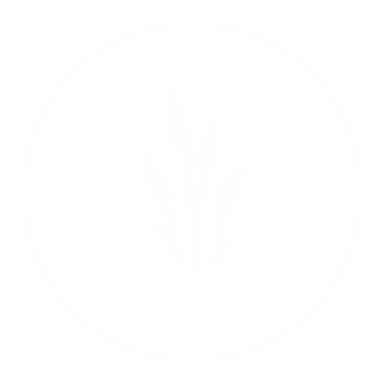 Il ciclo del giunco icon