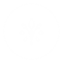 Découverte de la pleine conscience icon