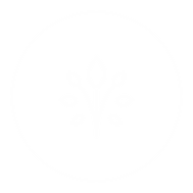 Découverte de la pleine conscience icon