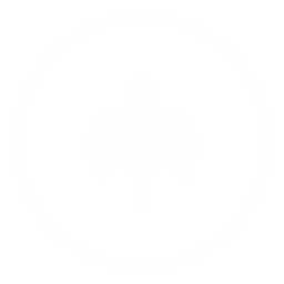Vivre en pleine conscience (long) icon